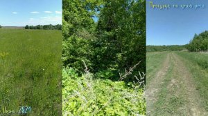 Прогулка по краю леса.A walk along the edge of the forest..mp4