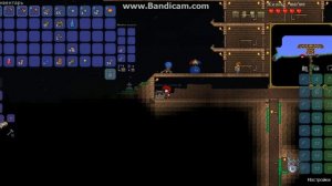 4#TERRARIA-строительная серия