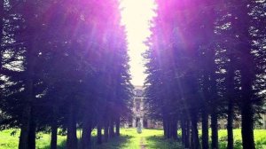 12 Лет Перехода.