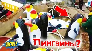 Худший в мире ЗООПАРК находится в Китае! Смех!