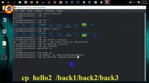 Linux Bangla Tutorial (A to Z) Essential Part  | CNETBD