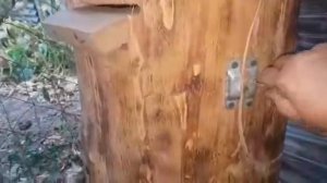 Колода для пчел, часть 3. Слетели рои