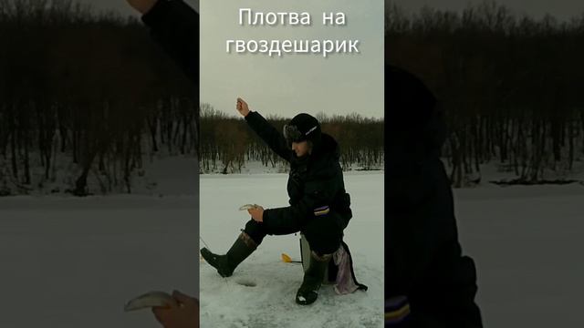 Ловля плотвы на гвоздешарик