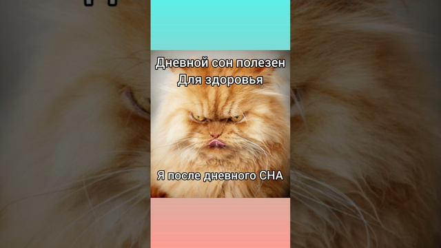 ДНЕВНОЙ СОН ПОЛЕЗЕН ? смотри в коментах.#дневнойсон#чтобыуснуть# легкозаснуть смотреть онлайн