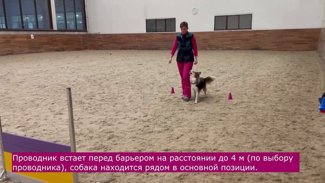 Maxima Start смотреть онлайн