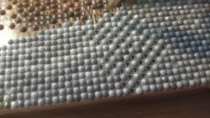 Алмазная мозаика "Котик"