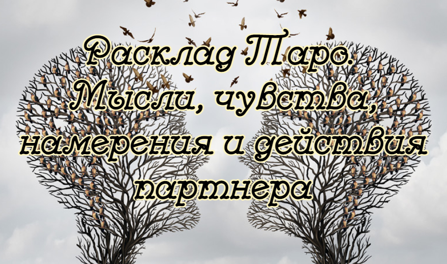 Расклад Таро. Мысли, чувства, намерения и действия человека?