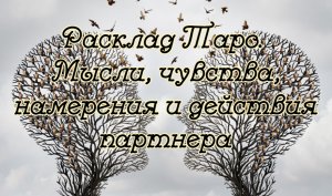 Расклад Таро. Мысли, чувства, намерения и действия человека?