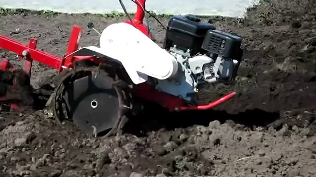 Мотоблок Фаворит работа с окучником смотреть онлайн