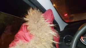 Apocalypse DB-SA2712  ЖеСткая Валева!!!