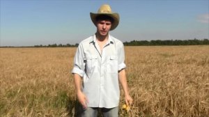 Реклама сухариков Воронцовские