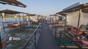 Как Жарят Узбеки рыбу! Остров сказок! Жаренный Сазан! | Street food | Gurman TV