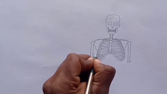 How to draw human skeleton step by step/easily | Easy way to draw skeleton | skeleton drawing easy смотреть онлайн