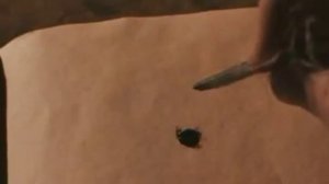 Романс Люциуса Малфоя