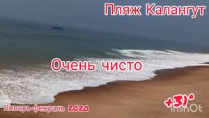 Пляж Калангут ГОА Индия январь-февраль 2020