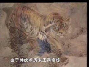 КУНГ-ФУ "СТИЛЬ ТИГРА" (МЕТОДЫ ПОДЧИНЕНИЯ)