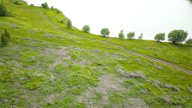 Реткино