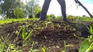 Правдивый обзор электрокультиватор, испытание культиватора 750 ватт видеообзор