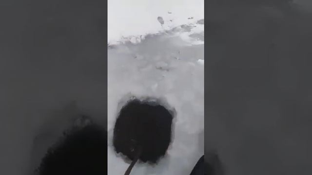 Ужас под лёд ныряет смотреть онлайн