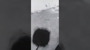 Ужас под лёд ныряет