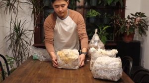 Episode 1: Prepping Your Lion's Mane Grow Bag