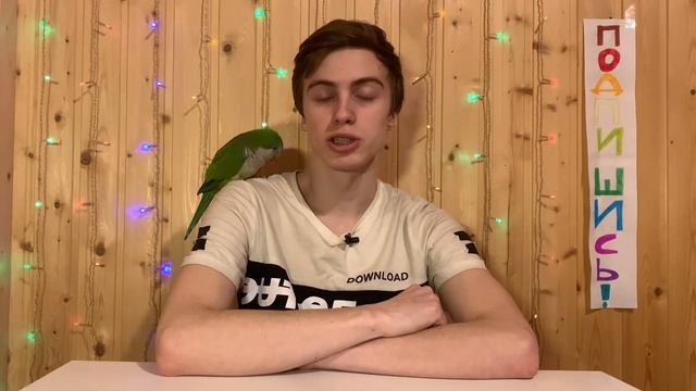 Определяем пол и возраст волнистого попугая