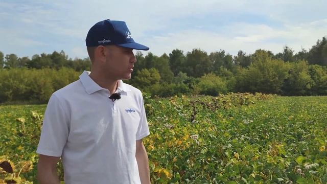 Гербициды на сое Липецк