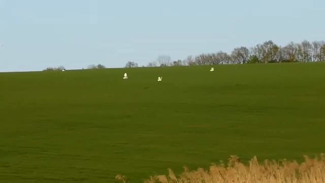 10 лучших самоделки для рыбалки