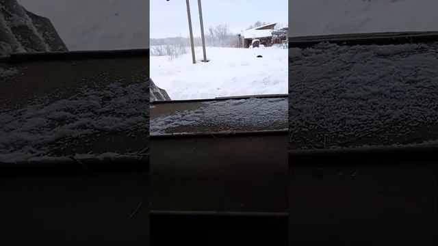 утреннее кормление овечек,ждем окота.Жизнь на даче смотреть онлайн