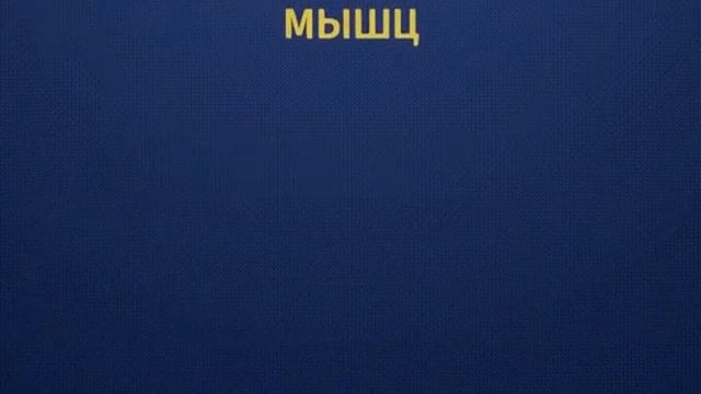 Правильная растяжка☝? смотреть онлайн