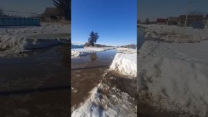 Центральная дорога в Лунинском р-он. Пензенская обл.