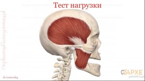 Тест нагрузки с листовым калибратором