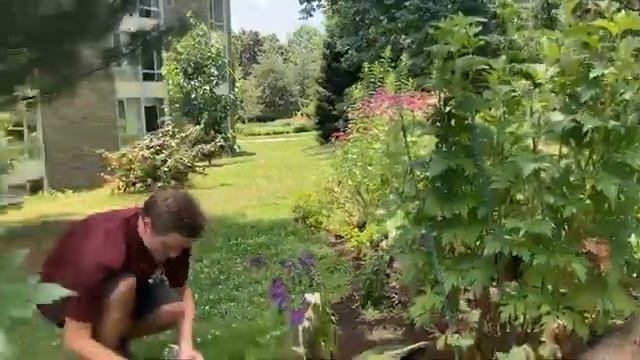 Lunchtime Tour: Cut Flower Garden смотреть онлайн