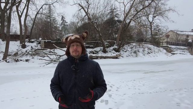 ❓Как купить дом в США за 2 года❓ смотреть онлайн