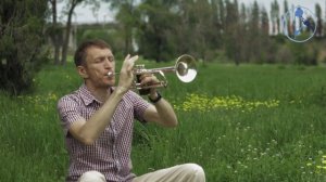 Сказка странствий