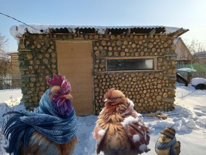 Ещё одна квочка. Что с ней делать зимой?