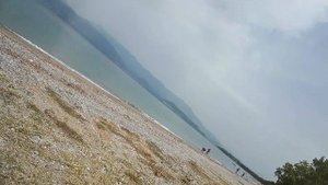 Косатка убила человека