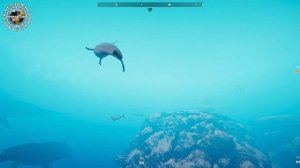 Обзор игры Beyond Blue | Голубая планета