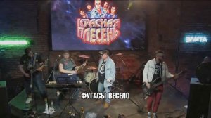 Караоке Красная плесень   23 февраля