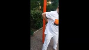 БАЗОВАЯ РАБОТА В БАГУА ЧЖАН: "ПОЯСНИЦА КАК У ДРАКОНА".