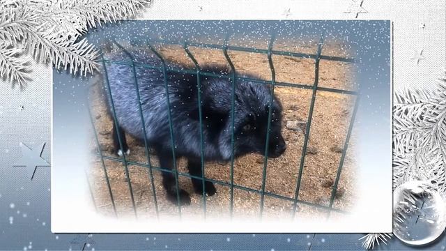 Зимние каникулы 5М класса смотреть онлайн