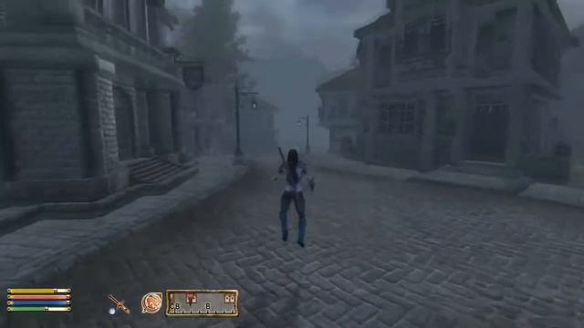 The Elder Scrolls IV: Oblivion - / Чищу пещеру мечом, а Маглир лицом/ 8 часть смотреть онлайн