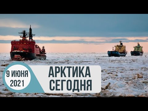 Арктика сегодня: Севморпуть, недра, робототехника.