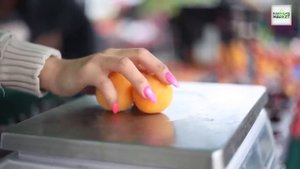 FrequenSea - Forever Green FG Xpress