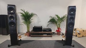 Gryphon Diablo 300 / Dynaudio Confidance 30