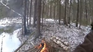 Охота на лося!!! Лось против Охотников с собаками!!