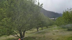 TEXAS power tiller/weeder Lilli 532 TG..