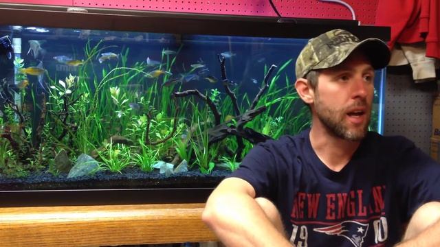 100/200 SUB Contest Extended. смотреть онлайн