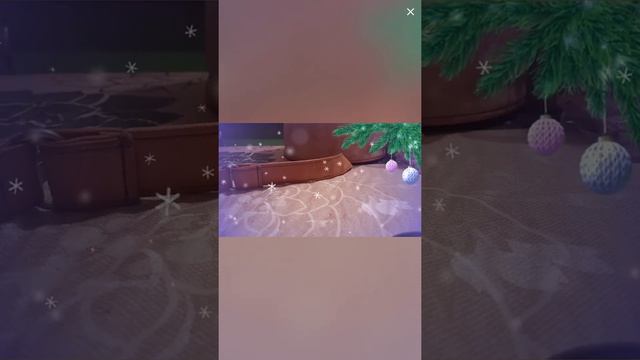 Бегу по полю Александр (с Женой)Дуэт смотреть онлайн