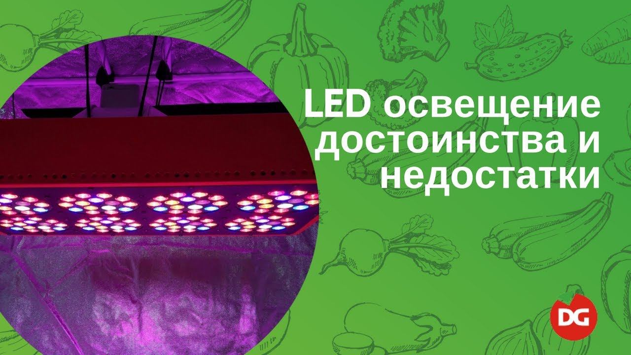 43 Светодиодное LED-освещение растений: преимущества и недостатки